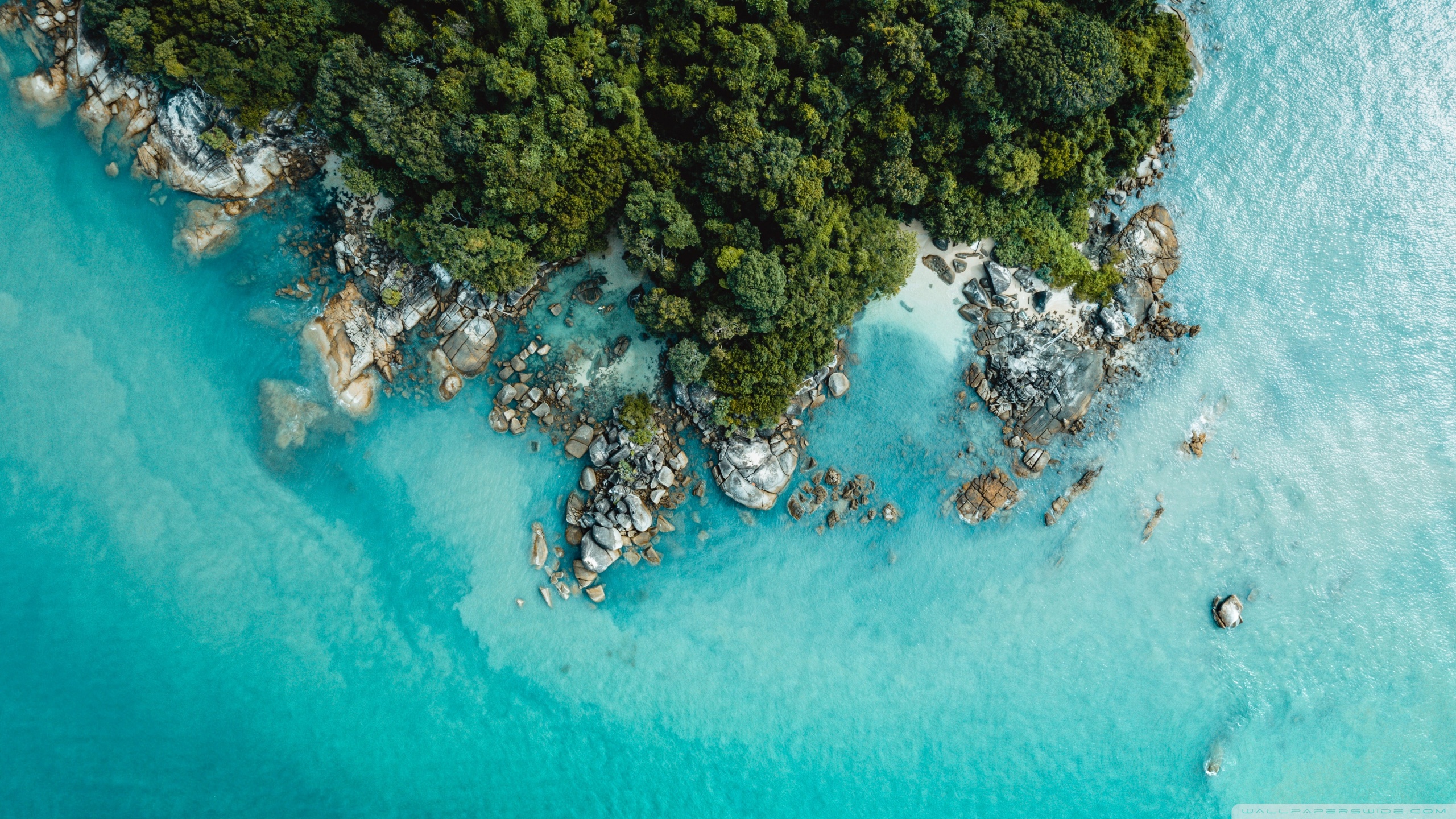 tropical_serenity-wallpaper-2560x1440